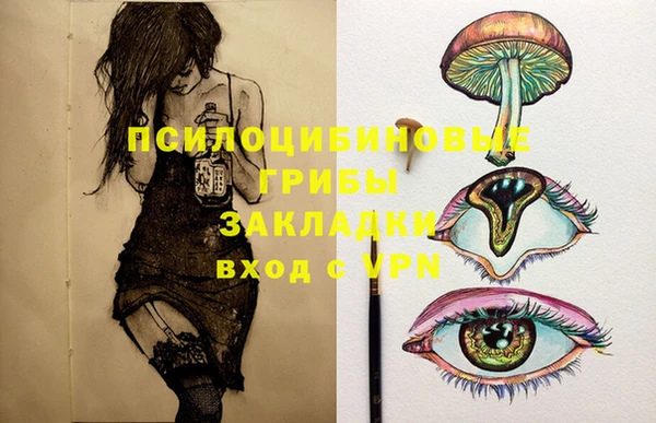2c-b Аркадак