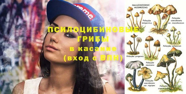 каннабис Арсеньев